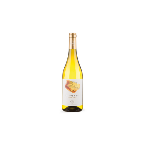 Il Forte - Produttori del Gavi - DOCG Gavi